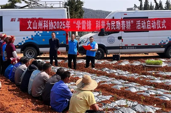 1742804381508054293.jpg 37-2-2.jpg