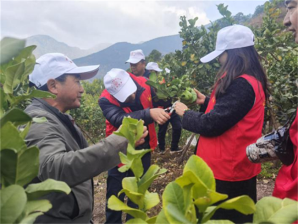 1742804591482034555.png 37-4.png