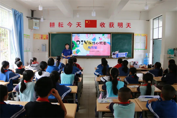 1742886637523023573.jpg 310-2.jpg