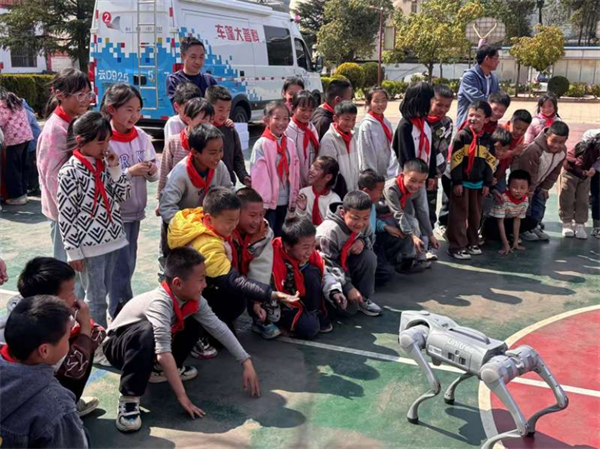 1743125303384051758.png 317-1.png