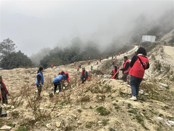 1743125868109075739.png 317-5.png