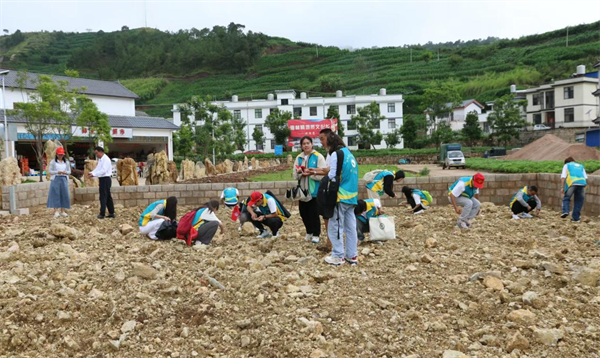 1743126513728009204.png 318-5-2.png