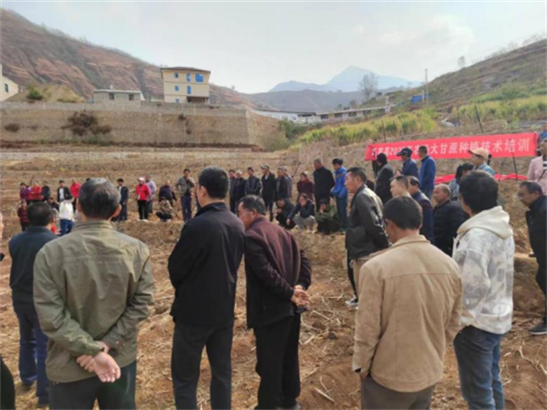 1743126830762046610.png 319-4.png