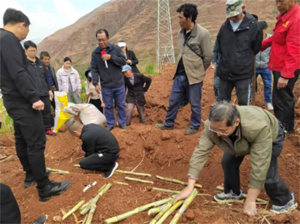 1743126855264016274.png 319-4-2.png