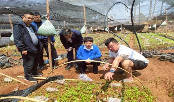 1743127769519089781.png 321-2-2.png