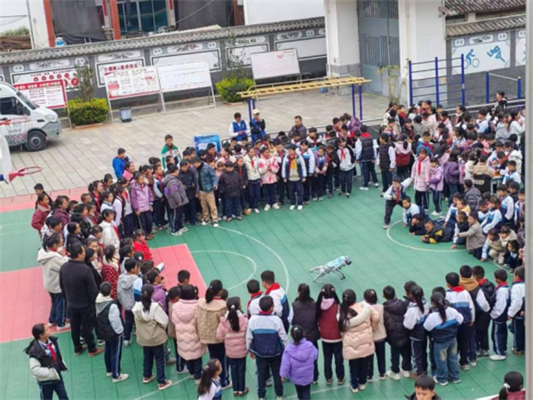 1744163795042035595.png 331-3.png