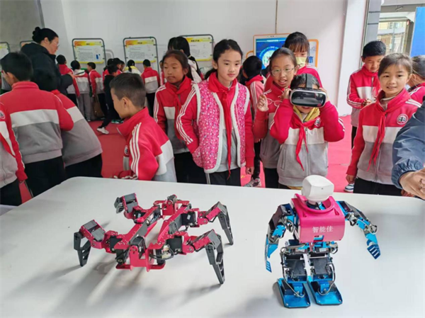 1744164096561010006.png 331-5-2.png