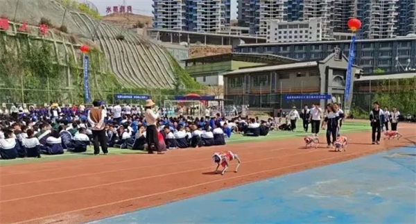 1744355734964024348.jpg 49-3-2.jpg