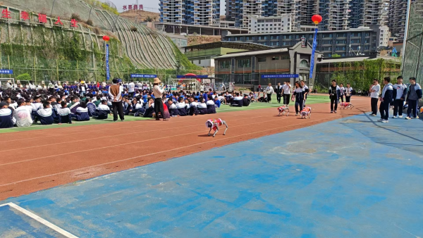 1746601710169074084.png 411-5-2.png