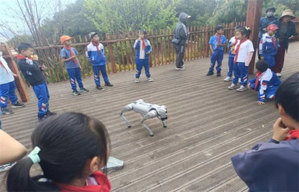 1746602411861033865.jpg 415-3.jpg