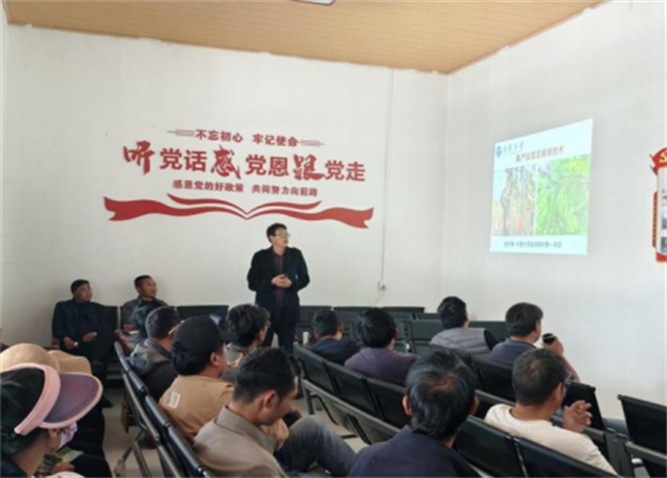 1746603963674031880.png 418-4.png