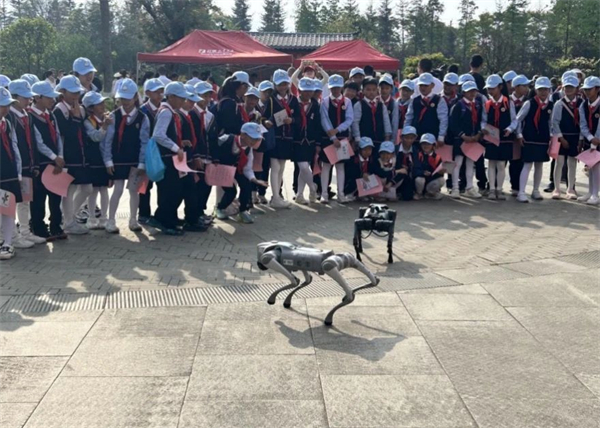 1746685579512054802.jpg 429-1-2.jpg