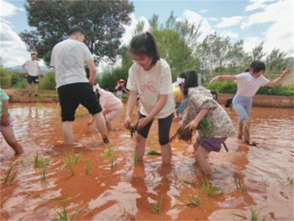 1746761467363073013.png 58-2.png