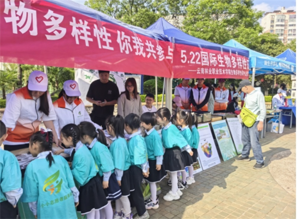 1750511085564082127.png 527-4.png