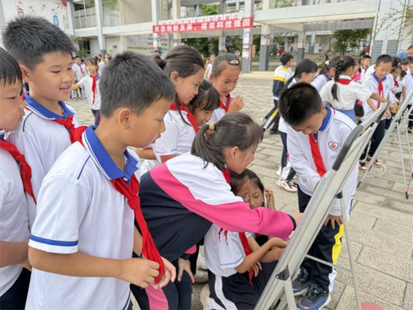 1750517808626043684.png 530-6.png