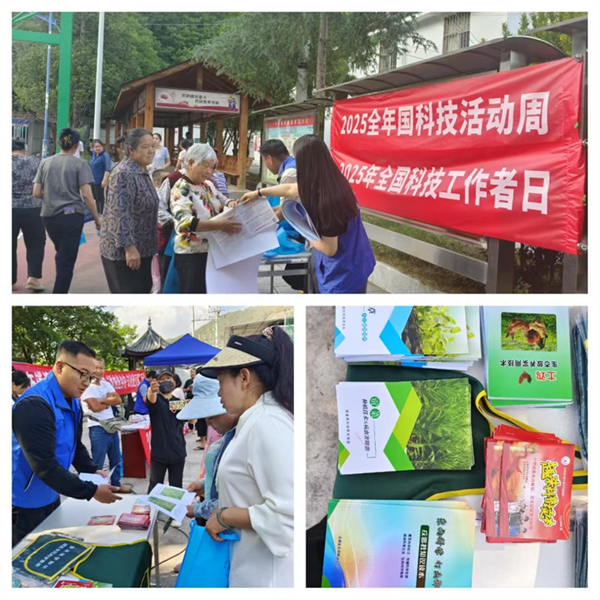 1752215147264028745.png 611-2.png