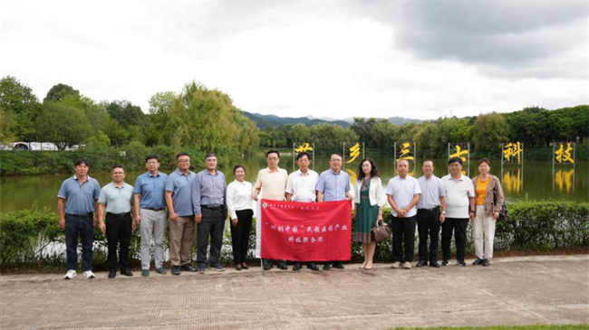 1756967263211080611.png 92-1-2.png