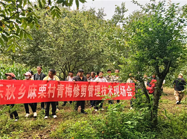 1758004939454086155.png 95驻村1.png