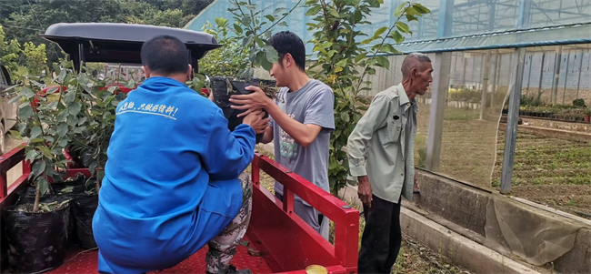 1758004971064077010.png 95驻村3.png